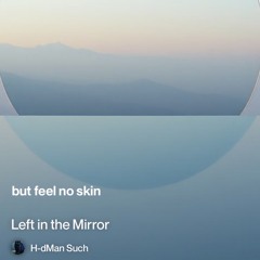 left-in-the-mirror 2.