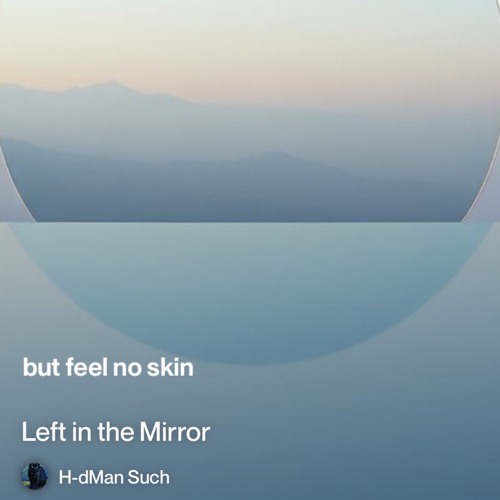 left-in-the-mirror 2.