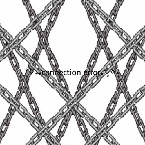 bodyGaard connection error