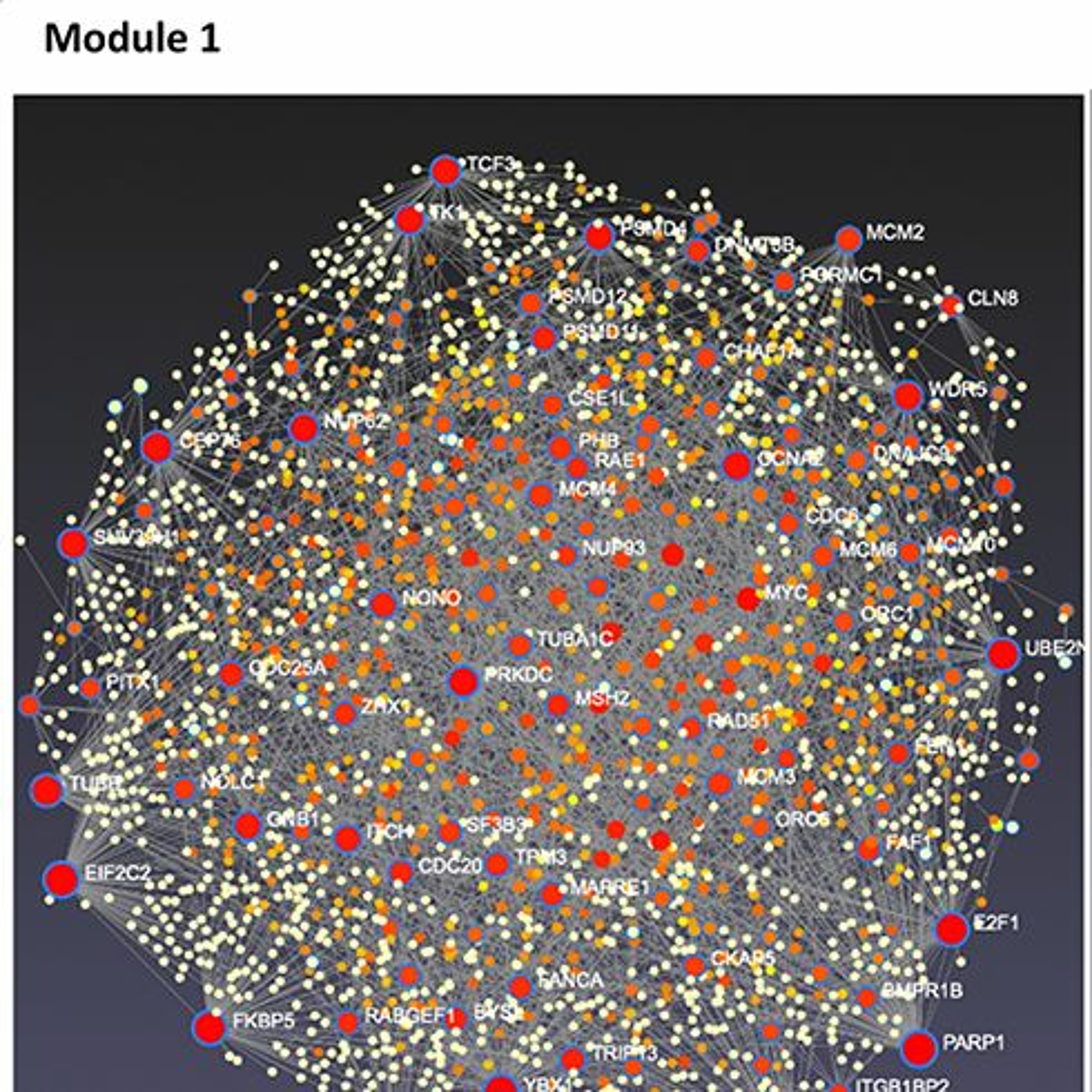 Oncotarget