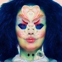 NTI.mixVinylBjörk