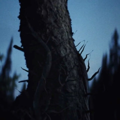 Of The Trees - Look Into My Eyes (Us Under Flip)