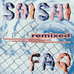 PREMIERE : shishi - Dog OK (Kabinett Remix) (Good Skills)