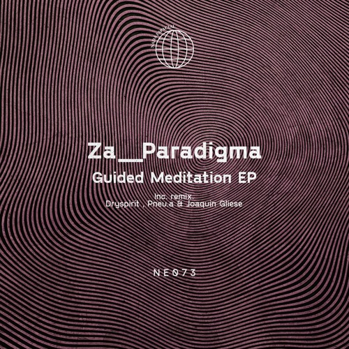 Za__Paradigma -Guided Meditation (Dryspirit Remix)