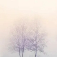 겨울말-부병강국