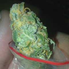 PROS COLOMBIANO (DJ BM ZO)  MTG / GF Music 🇨🇴