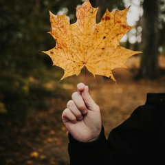 autumn in New York