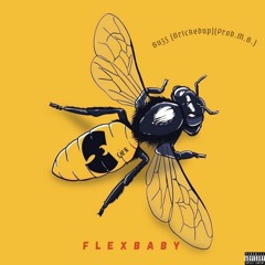 FlexBaby - Buzz (Brickedup)(Prod.M.B.)