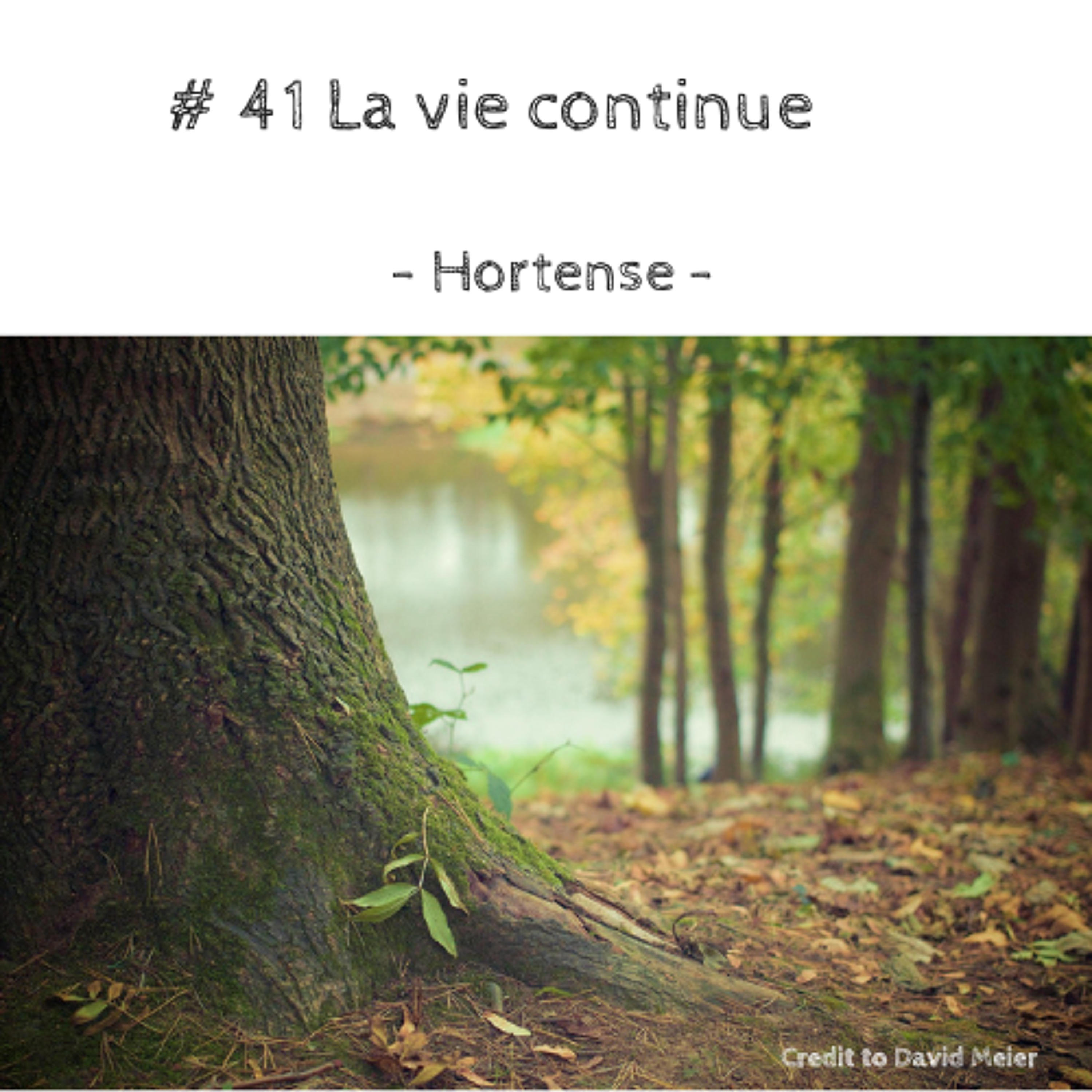 # 41 La vie continue