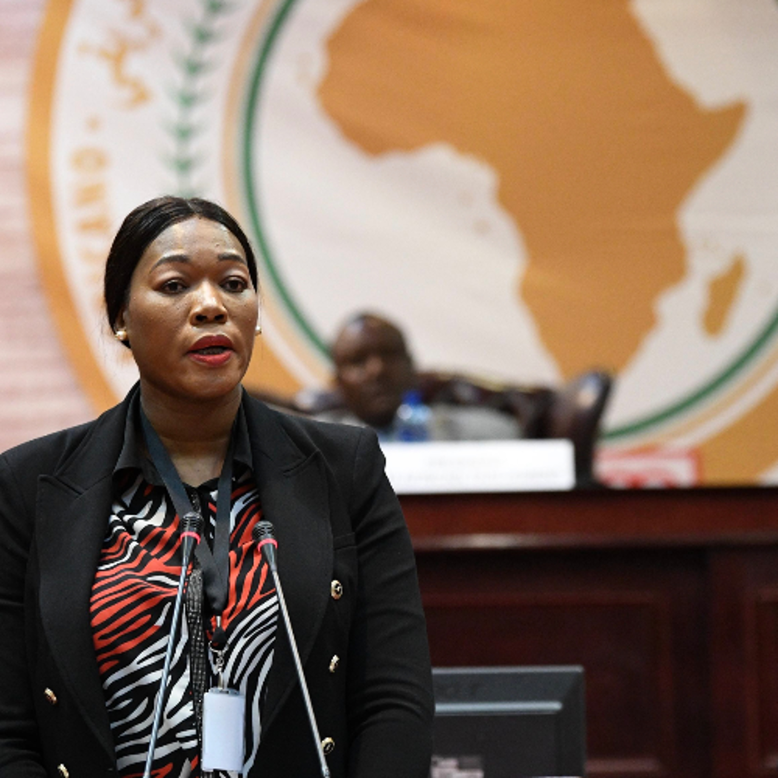 Deputy Minister Moraka during the  Sitting of Permanent Committees of the Pan African Parliament
