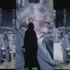 [Vezi]~ "Pădurea de molizi" 2025 — Filmul Online Subtitrat in Româna 1080p
