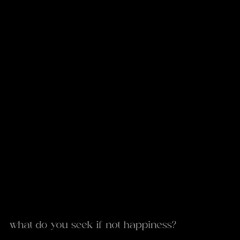 what do you seek if not happiness?