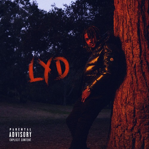 Derek King ~ L.Y.D