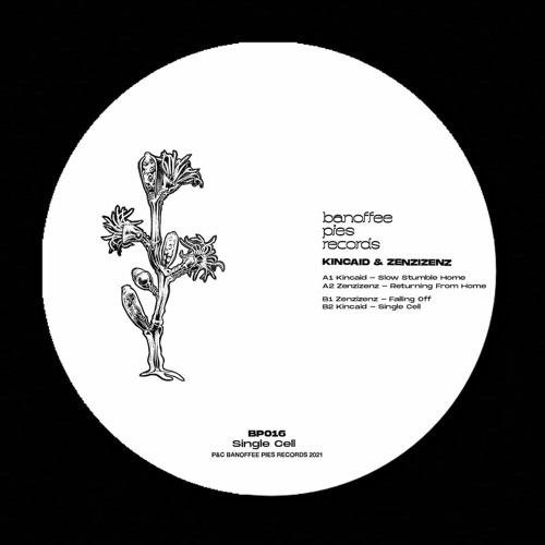 Premiere: Zenzizenz - Falling Off