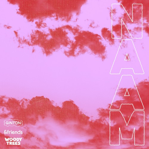 Ginton, &friends - Naam (Extended Mix)