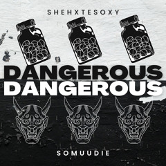 Dangerous Ft.  shehxtesoxy (prod. NoLuvSchiz & Daks9k)
