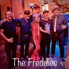 The Freddies live @ Great Northern (Final Show)