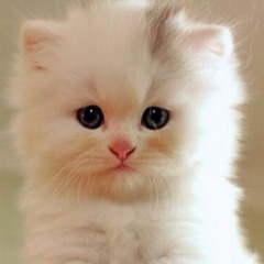 baby my phone (sped up)