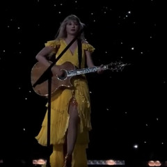 Should’ve Said No live from The Eras Tour