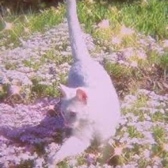 ♡•  2 0 2 4 •♡