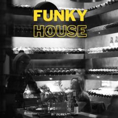 FUNKY HOUSE by VACHINKA