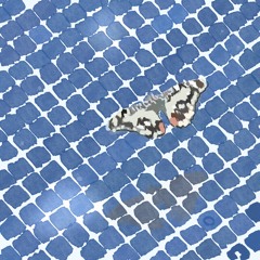 Manolo. Apart