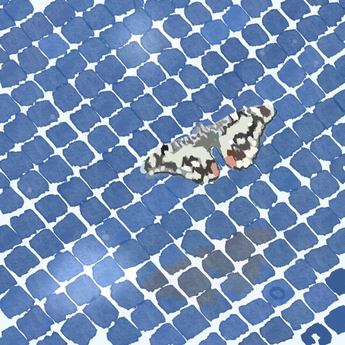 Manolo. Apart