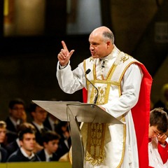 Lourdes 2023, sermon de l'abbé Vaillant le lundi 30 octobre