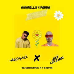 J Balvin X Elilluminari - Amarillo X Perra ( Jay Leggan & Alonso Chover Mashup)