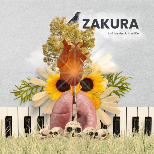 Zakura