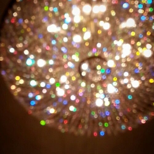 Shinxbi - Wrong Time