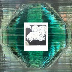 note to self №8: microdosing II