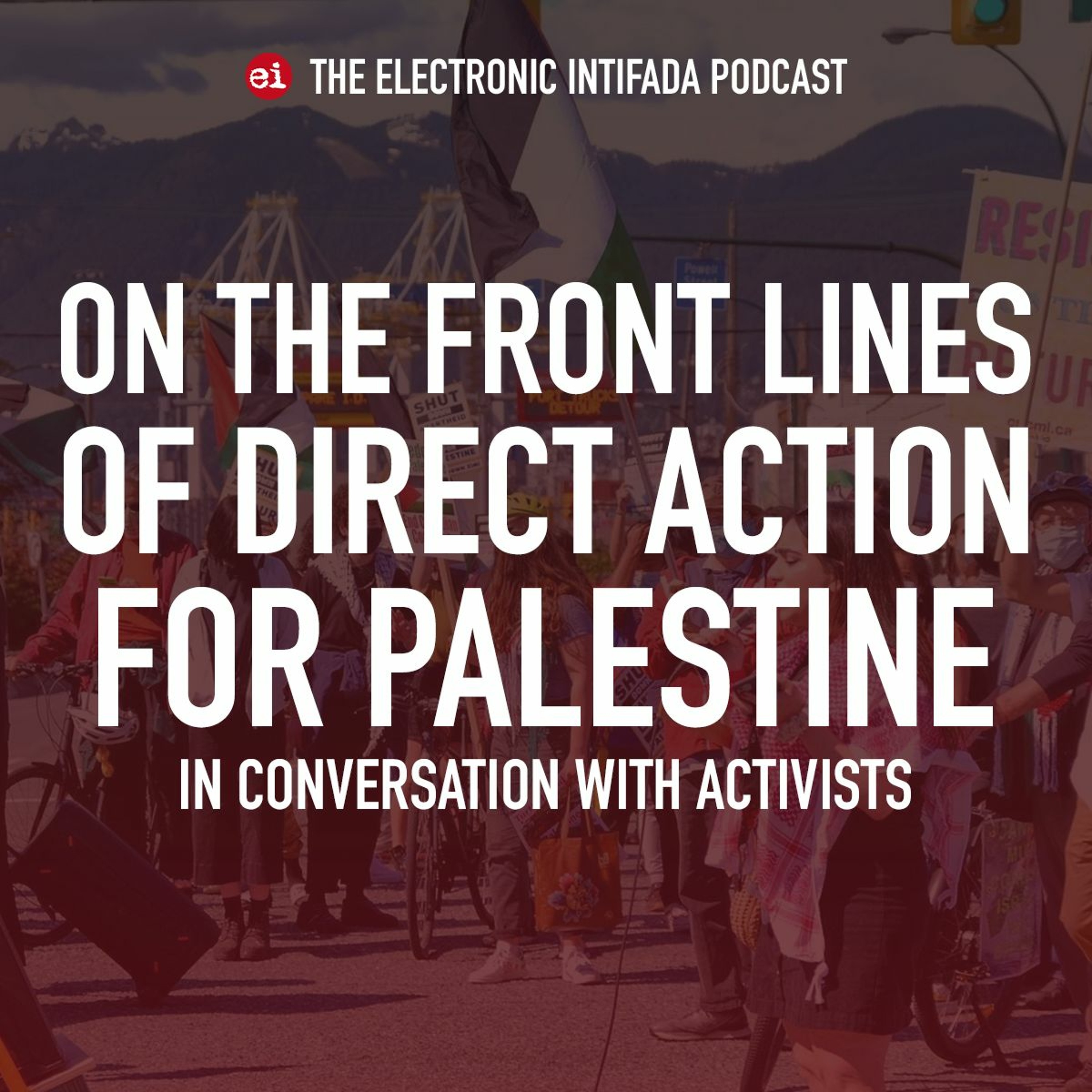 The Electronic Intifada