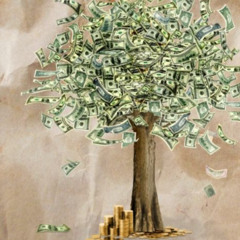 DASH FT D.O.D MI$FIT