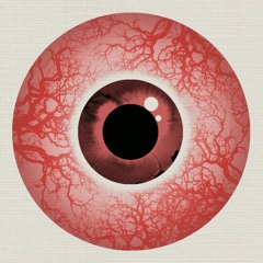 2MiNdZ -- I Cannot Sleep