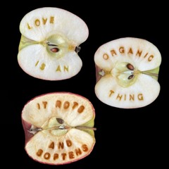 COWRIES OF THE HEART