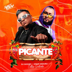 DJ Goozo , Omar Segura Ft. Cintya Santander - Picante (Tasty Boy Braziliam Remix)M1