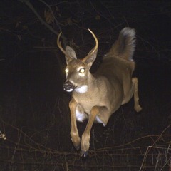 I Met God And She Had Three Tits