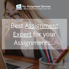 Assignment Expert By My Assignment Services