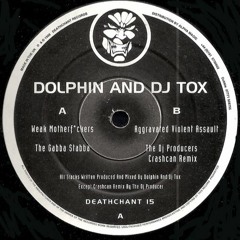 Dolphin And DJ Tox - The Gabba Stabba