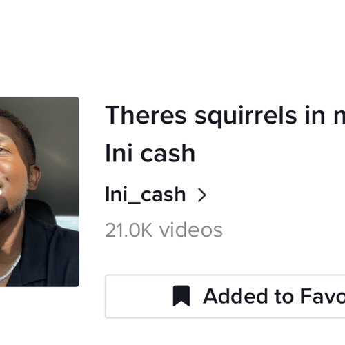 Stream There’s squirrels in my pants (marlians refix) by Ini Cash