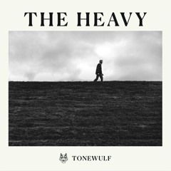 You're Getting Carried Away - Tonewolf