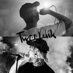 tweeluik