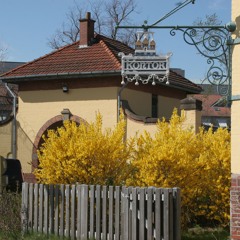 De rasende og gale - 26. afsnit - Stemmer fra Amar