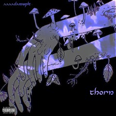 thorn + plt [prod. plt]