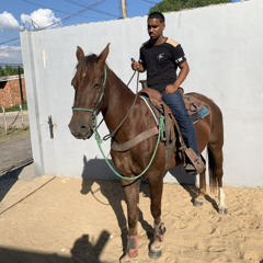 O Meu Coração é Seu_Todinho Seu - Iguinho e Lulinha (Áudio Oficial)