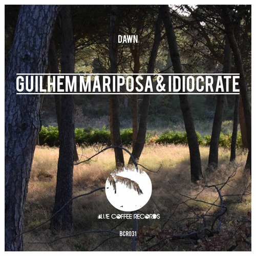 Guilhem Mariposa & Idiocrate - Downpour