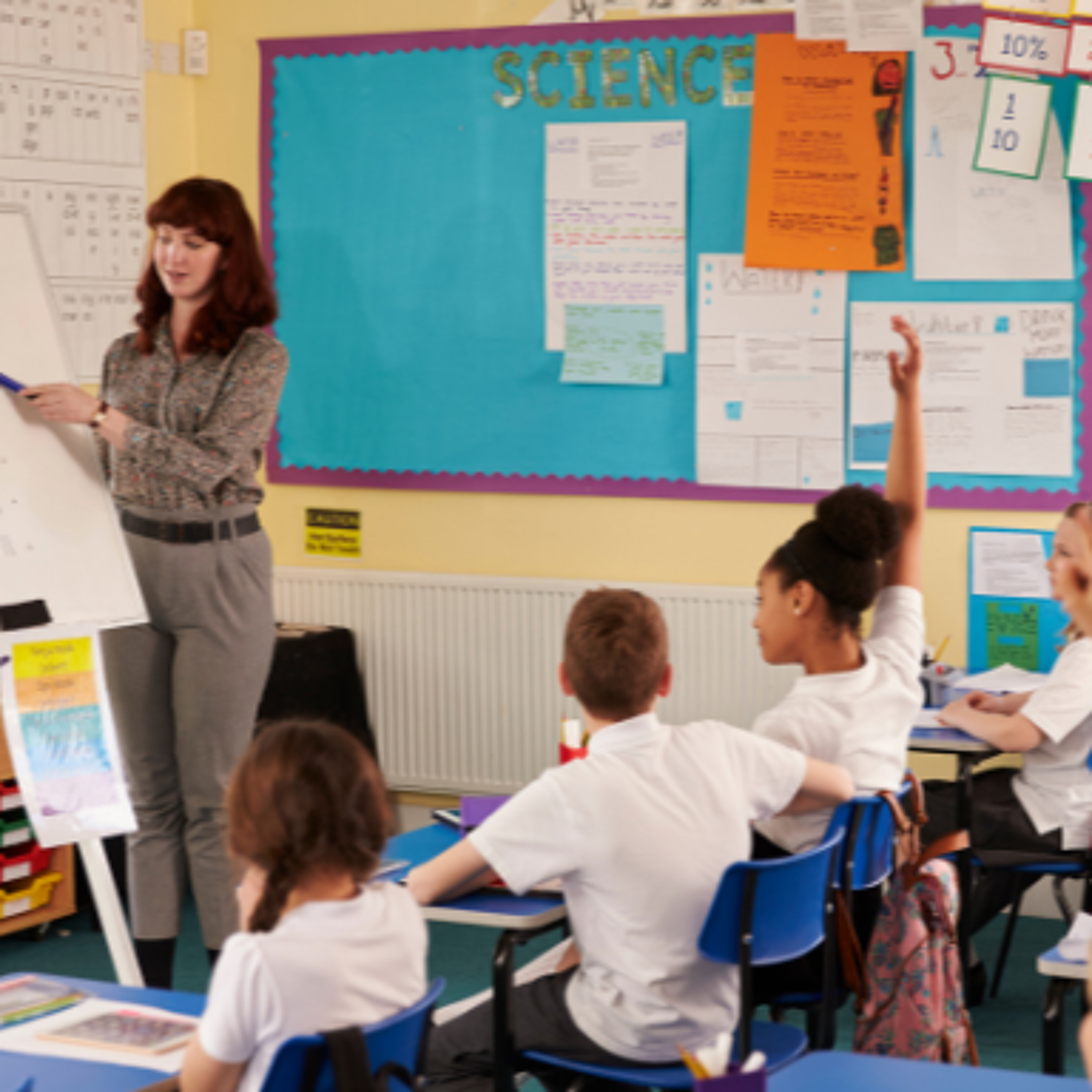 Potential Changes To Primary School Patronage Proposed