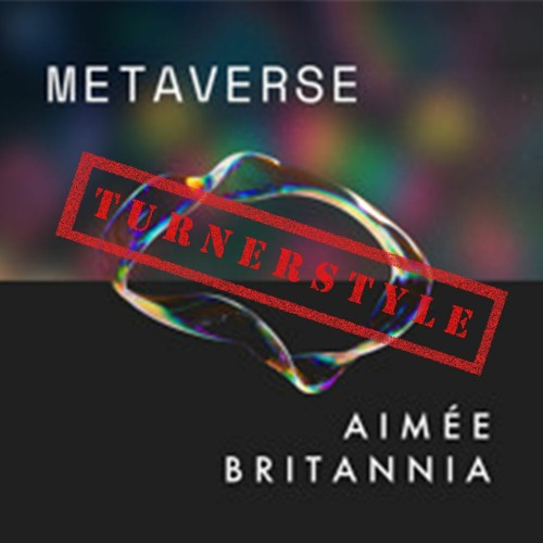 Metaverse Remix (prod. Ant Turner)