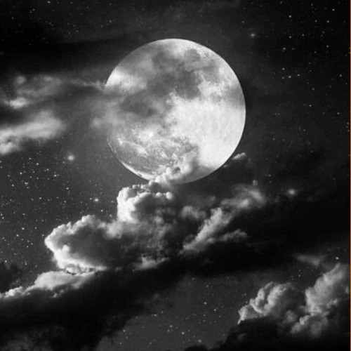 قرآن كريم بصوت عبد الرحمن مسعد